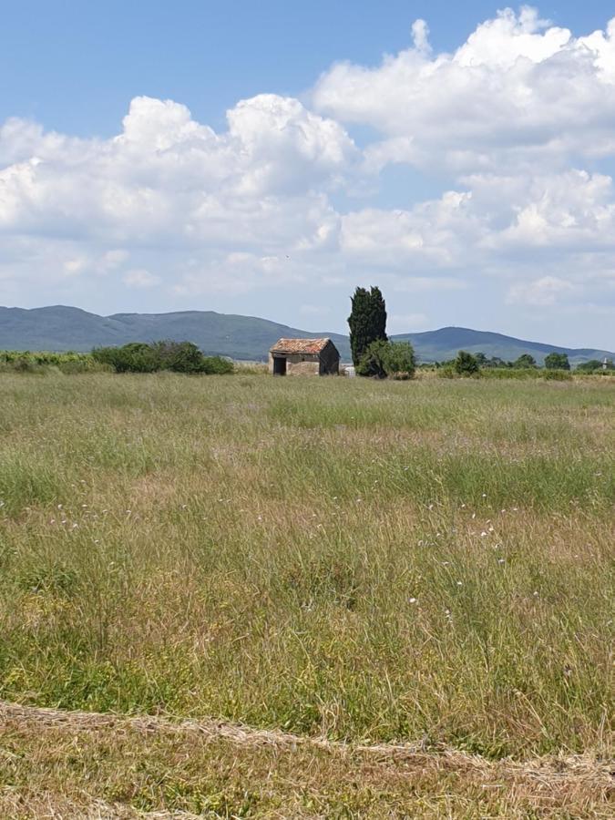 La Grange Du Cade Villa Magalas ภายนอก รูปภาพ